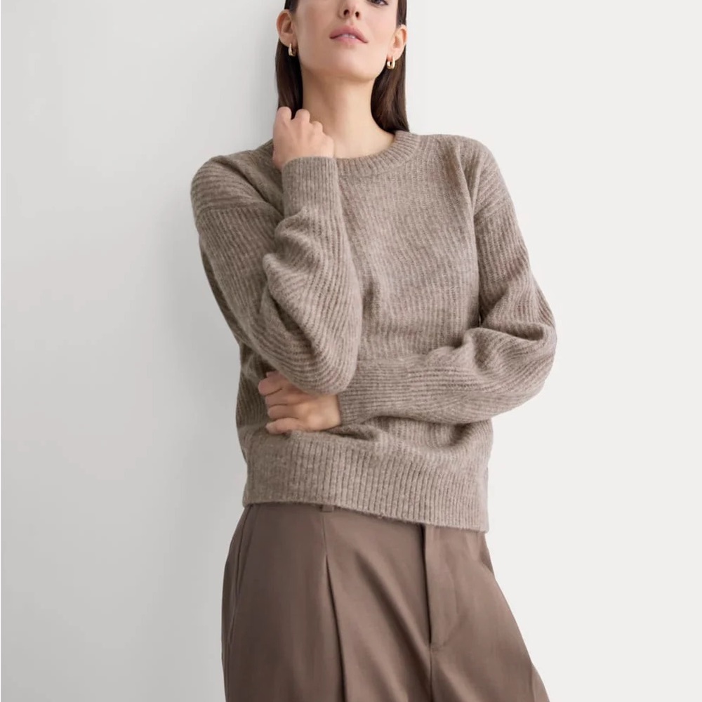 Everlane The Cocoon Crew in Alpaca